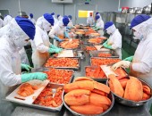 Thỏa thuận Xanh châu Âu: Nông sản, thực phẩm và dệt may cần nắm bắt cơ hội “người đi trước”